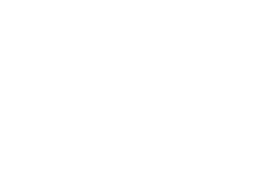 Swarovski